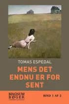 Mens det endnu er for sent (Storskrift)