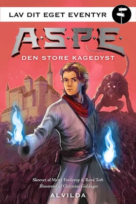 Den store kagedyst af Mette Finderup