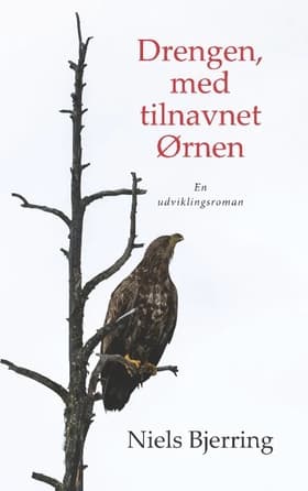 Drengen, med tilnavnet Ørnen af Niels Bjerring