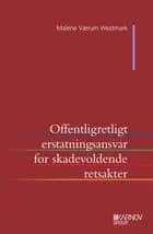 Offentligretligt erstatningsansvar for skadevoldende retsakter der lider af en væsentlig retlig mangel