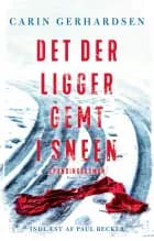 Det der ligger gemt i sneen