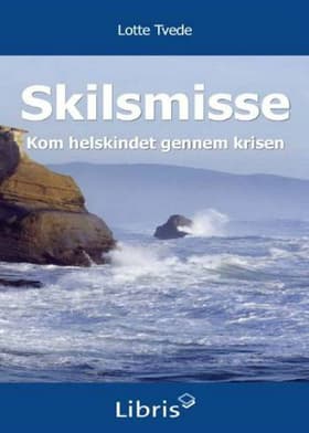 Skilsmisse af Lotte Tvede