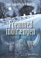 Fremmed indtrængen